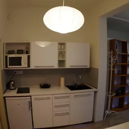 Gotcha Apartment Prague